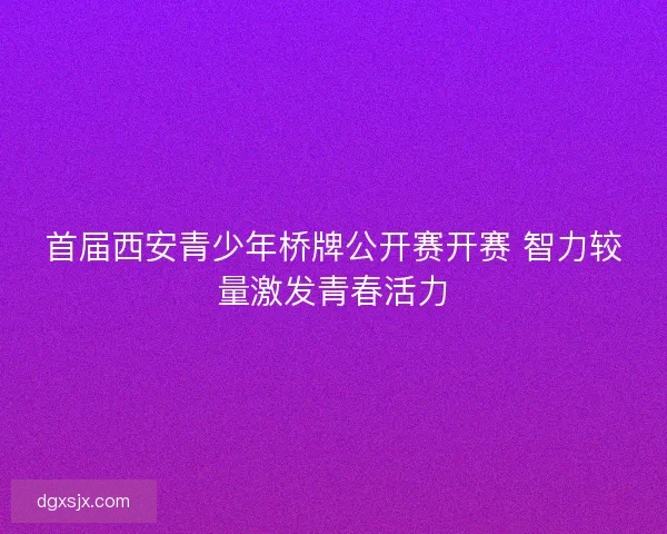 首届西安青少年桥牌公开赛开赛 智力较量激发青春活力